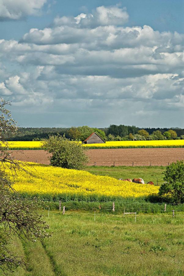 Ferienwohnung Ferien auf Tippen Hof  Bleckede Exterior foto